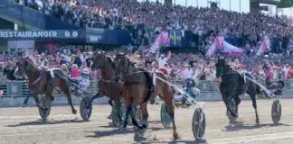 Eftersnack Elitloppssöndagen: 1.07,1 – Allegiant utomjordisk i Elitloppet 2026 allegiant mal elitloppet 1440x830 jpg