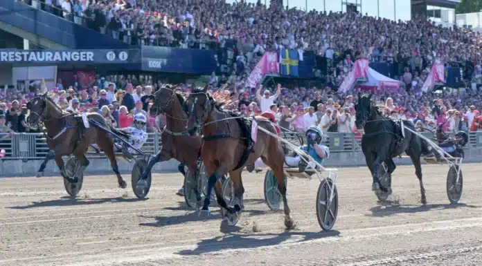 Eftersnack Elitloppssöndagen: 1.07,1 – Allegiant utomjordisk i Elitloppet 2026 allegiant mal elitloppet 1440x830 jpg