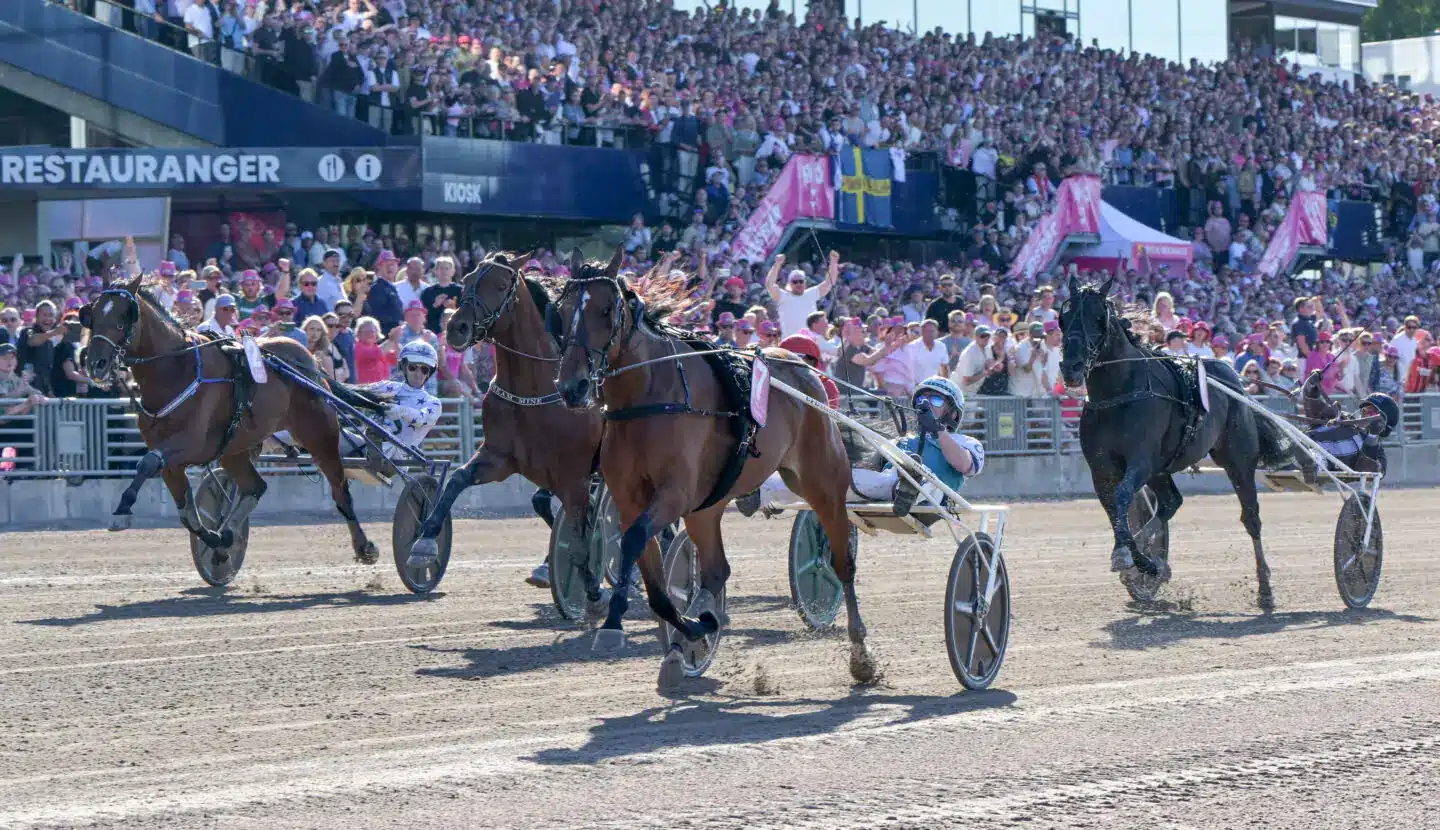 allegiant mal elitloppet 1440x830 jpg