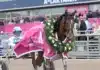 Redén lyrisk inför Elitloppet allegiant med lagerkrans 1440x1075 jpg (1)