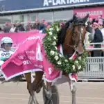 Redén lyrisk inför Elitloppet allegiant med lagerkrans 1440x1075 jpg (1)