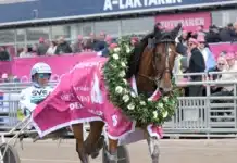 Redén lyrisk inför Elitloppet allegiant med lagerkrans 1440x1075 jpg (1)
