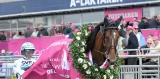 Redén lyrisk inför Elitloppet allegiant med lagerkrans 1440x1075 jpg (1)