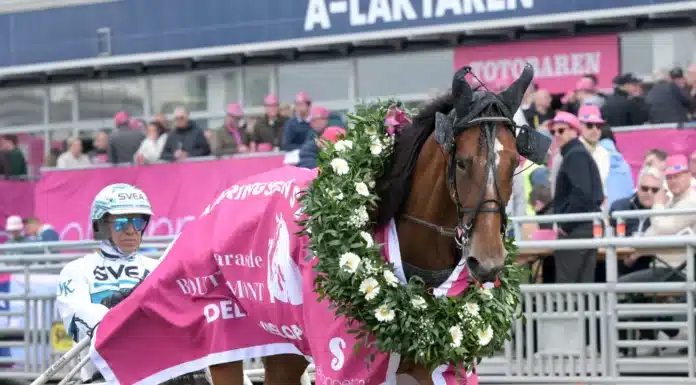 Redén lyrisk inför Elitloppet allegiant med lagerkrans 1440x1075 jpg (1)