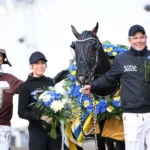 Inför V85 SOLVALLA: Baron Tilly dubblar distansen i Harper Hanovers baron tilly pris 1334 1440x897 jpg