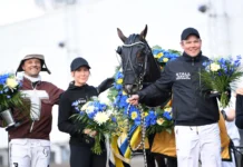 Inför V85 SOLVALLA: Baron Tilly dubblar distansen i Harper Hanovers baron tilly pris 1334 1440x897 jpg