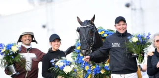Inför V85 SOLVALLA: Baron Tilly dubblar distansen i Harper Hanovers baron tilly pris 1334 1440x897 jpg