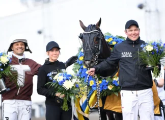 Inför V85 SOLVALLA: Baron Tilly dubblar distansen i Harper Hanovers baron tilly pris 1334 1440x897 jpg