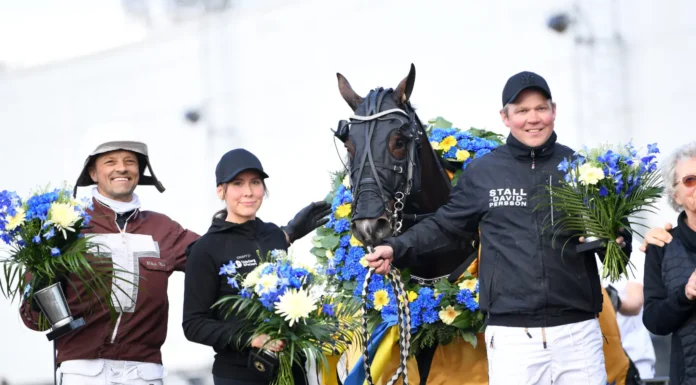 Inför V85 SOLVALLA: Baron Tilly dubblar distansen i Harper Hanovers baron tilly pris 1334 1440x897 jpg