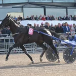 Inför V86: Skor och vanlig vagn på Borups Victory i genrepet – ”Vill ha maximal effekt till Elitloppet” borups victory 6 1440x990 jpg