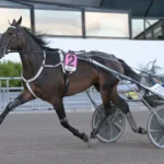 Inför V86: Svanstedts speedkula redo för tuffare upplägg – ”Måste tro mycket på henne” caribbean lemon 3 1440x960 jpg