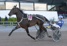 Inför V86: Svanstedts speedkula redo för tuffare upplägg – ”Måste tro mycket på henne” caribbean lemon 3 1440x960 jpg