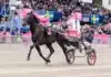 Charron representerar Norge i Elitloppet charron varmning 1440x960 jpg
