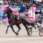 Charron representerar Norge i Elitloppet charron varmning 1440x960 jpg