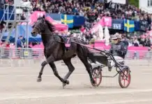 Charron representerar Norge i Elitloppet charron varmning 1440x960 jpg