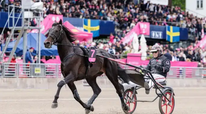 Charron representerar Norge i Elitloppet charron varmning 1440x960 jpg