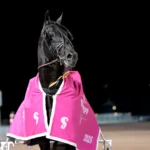 Borups Victory möter Don Fanucci Zet på Solvalla don fanucci zet efter segern 2 1440x951 jpg