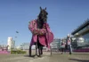 Startar i Elitloppet för sjätte gången don fanucci zet med lagerkrans 3 1440x821 jpg