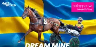Dream Mine inbjuden till Elitloppet – ”Sjukt häftigt” dream mine elitloppsinbjudan 1920x1080 sverige 1440x810 png
