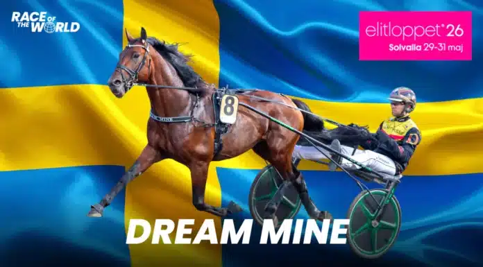 dream mine elitloppsinbjudan 1920x1080 sverige 1440x810 png