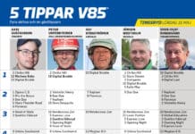 fem tippar v85 v20 2
