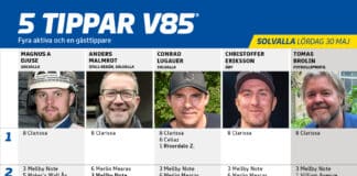 Fem tippar V85 till SOLVALLA 30 maj 2026 fem tippar v85 v22
