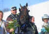 Francesco Zet står över Elitloppet francesco zet pris 720x434 jpg