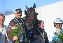 Francesco Zet står över Elitloppet francesco zet pris 720x434 jpg