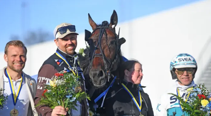 Francesco Zet står över Elitloppet francesco zet pris 720x434 jpg