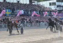 V85 statistik inför SOLVALLA 31 maj go on boy mal 3 1440x837 jpg