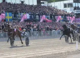 V85 statistik inför SOLVALLA 31 maj go on boy mal 3 1440x837 jpg
