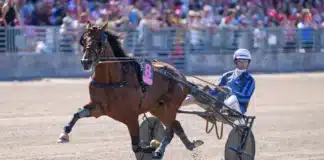 Elitloppshästar genrepar i Frankrike idao de tillard clement duvaldestin 06847 1440x960 jpg (2)