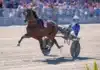 Inför V85 SOLVALLA 31 maj: Franskt rovdjur favorit i Elitloppet idao de tillard clement duvaldestin 06847 1440x960 jpg (3)