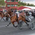 Inför V85 SOLVALLA 30 maj 2026: ”Självklart ska han vara favorit” jackpot mearas malgang 1440x960 jpg