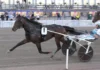 Inför V85 GÄVLE: Sista elitloppsbiljetterna på spel keep asking 3 1440x886 jpg (1)