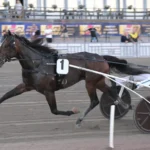Inför V85 GÄVLE: Sista elitloppsbiljetterna på spel keep asking 3 1440x886 jpg (1)