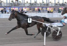 Inför V85 GÄVLE: Sista elitloppsbiljetterna på spel keep asking 3 1440x886 jpg (1)