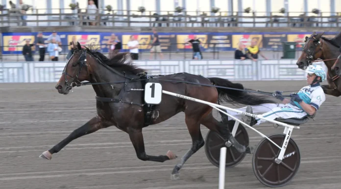 Inför V85 GÄVLE: Sista elitloppsbiljetterna på spel keep asking 3 1440x886 jpg (1)