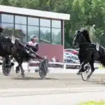 Inför V85 UMÅKER: Höjer ribban mot tredje raka lundasens teknik mal 2 1440x810 jpg