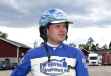 Inför V85 GÄVLE: ”Min absoluta förstahäst är…” marcus lilius stallbacke 1440x960 jpg
