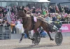 Massimo Hoist struken ur Elitloppet massimo hoist 1440x1047 jpg (1)