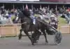 Inför V85 GÄVLE: Mot spets i Dubbelcupens final remlov 1440x1055 jpg (1)