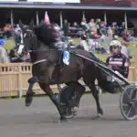 Inför V85 GÄVLE: Mot spets i Dubbelcupens final remlov 1440x1055 jpg (1)