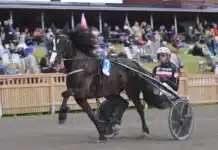 Inför V85 GÄVLE: Mot spets i Dubbelcupens final remlov 1440x1055 jpg (1)