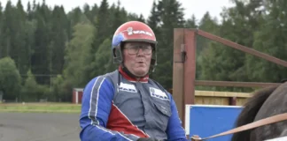 Inför V85 UMÅKER: Från nollor till segermaskin – redo för STL-debut roger nilsson visslar 1440x960 jpg