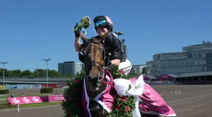 Världsrekord av Steady Victory i Montéeliten – ”Jag är chockad” steady victory segerdefilerar 1440x1052 jpg