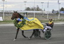 Resultat & eftersnack V85 UMÅKER 2 maj 2026 umaker 260502 dream mine mats e djuse def 1440x960 jpg