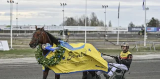 Resultat & eftersnack V85 UMÅKER 2 maj 2026 umaker 260502 dream mine mats e djuse def 1440x960 jpg