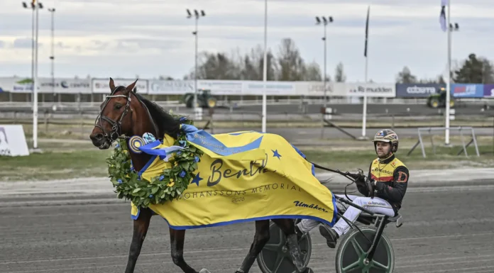 Resultat & eftersnack V85 UMÅKER 2 maj 2026 umaker 260502 dream mine mats e djuse def 1440x960 jpg