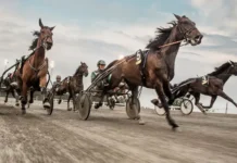 Harry Boy tog hela potten – 25 miljoner på V85 Elitloppslördagen 30 maj 2026 vinst1 25 jpg